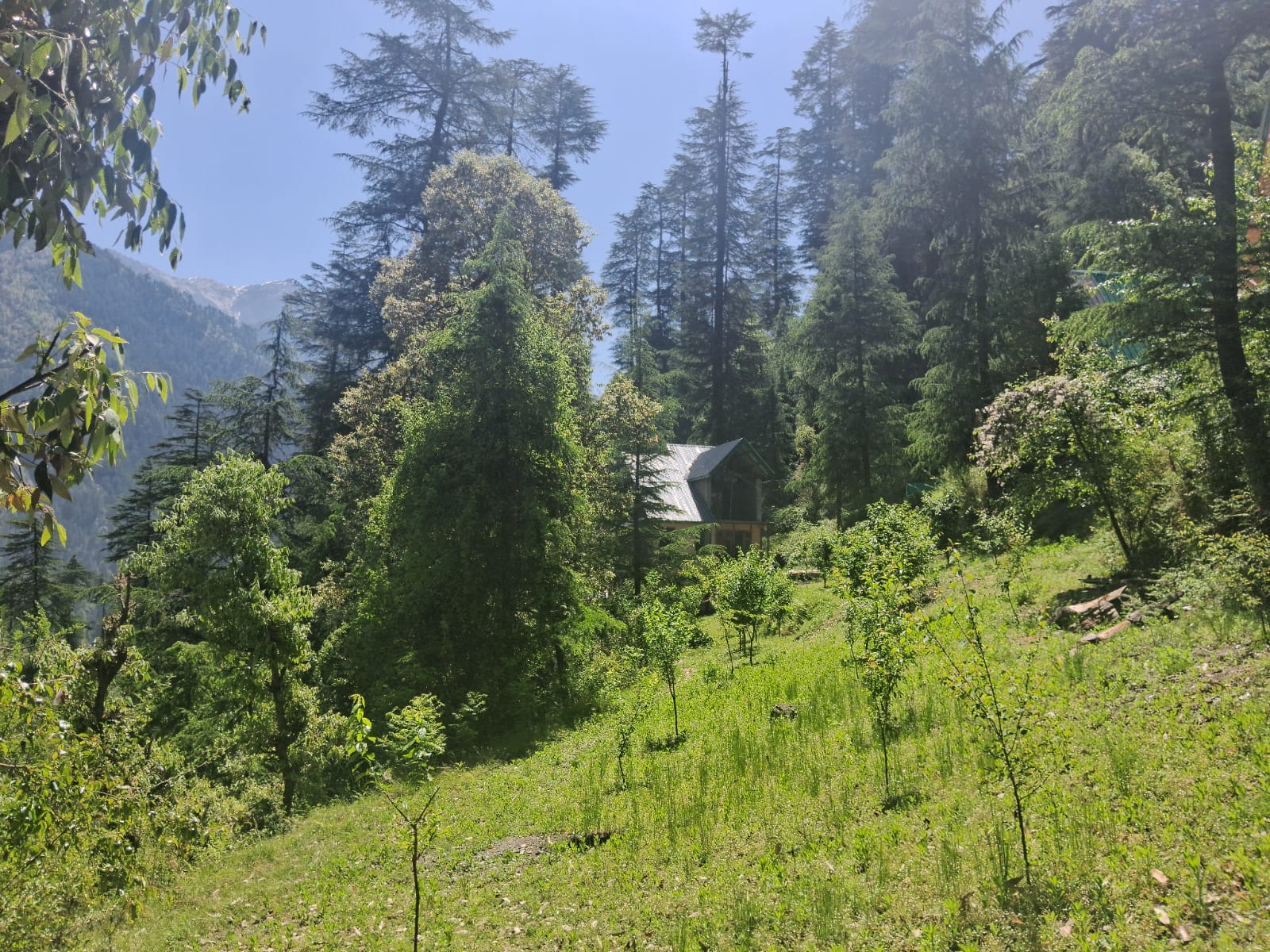 Bhindeshi Tara Stays landscape