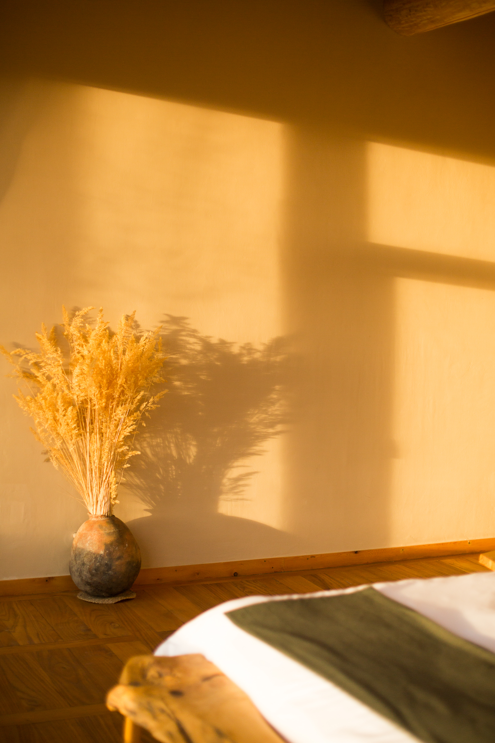 Suite at golden hour with dried Ladakhi grasses