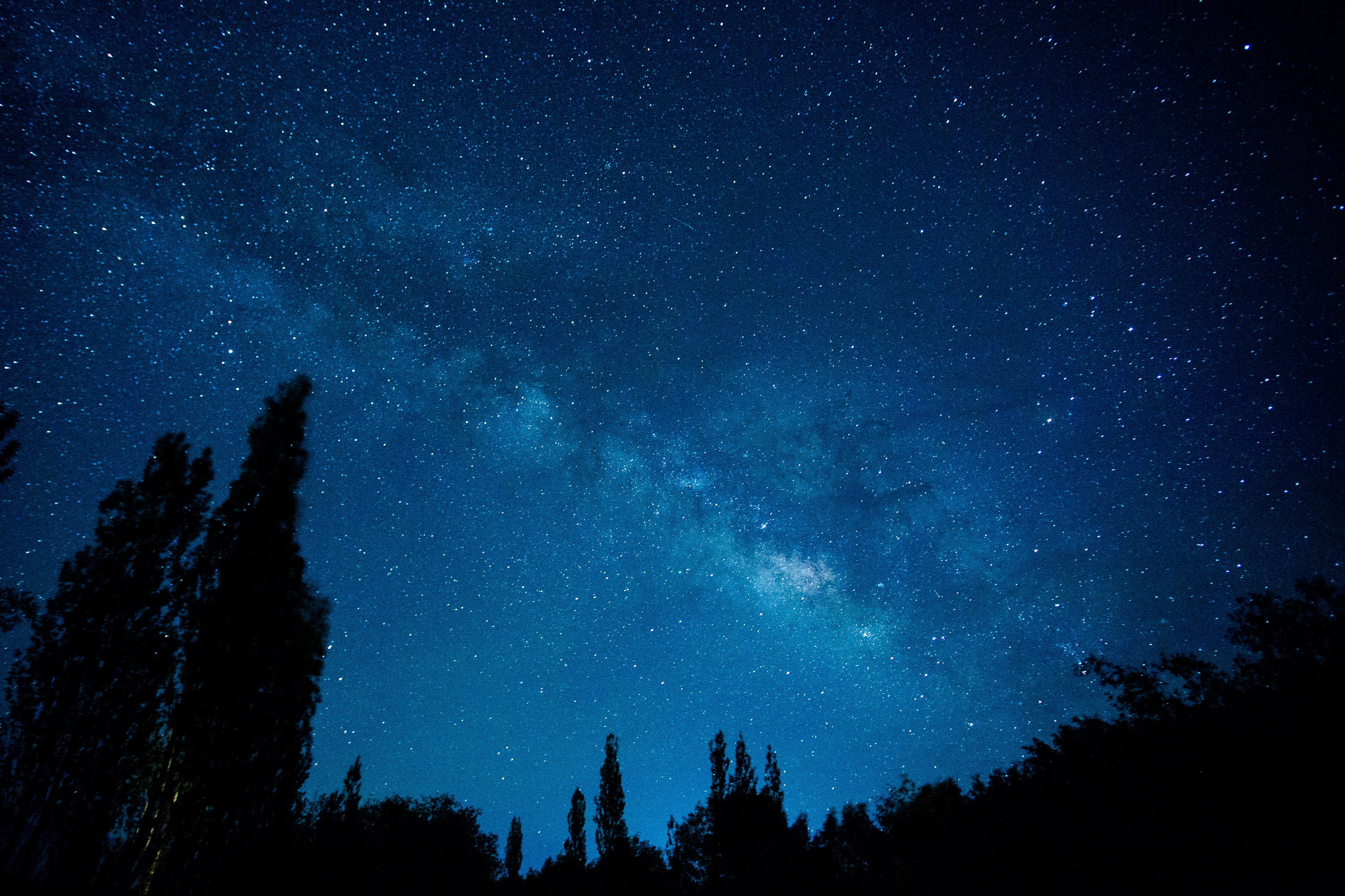 Starlit night sky above Shel